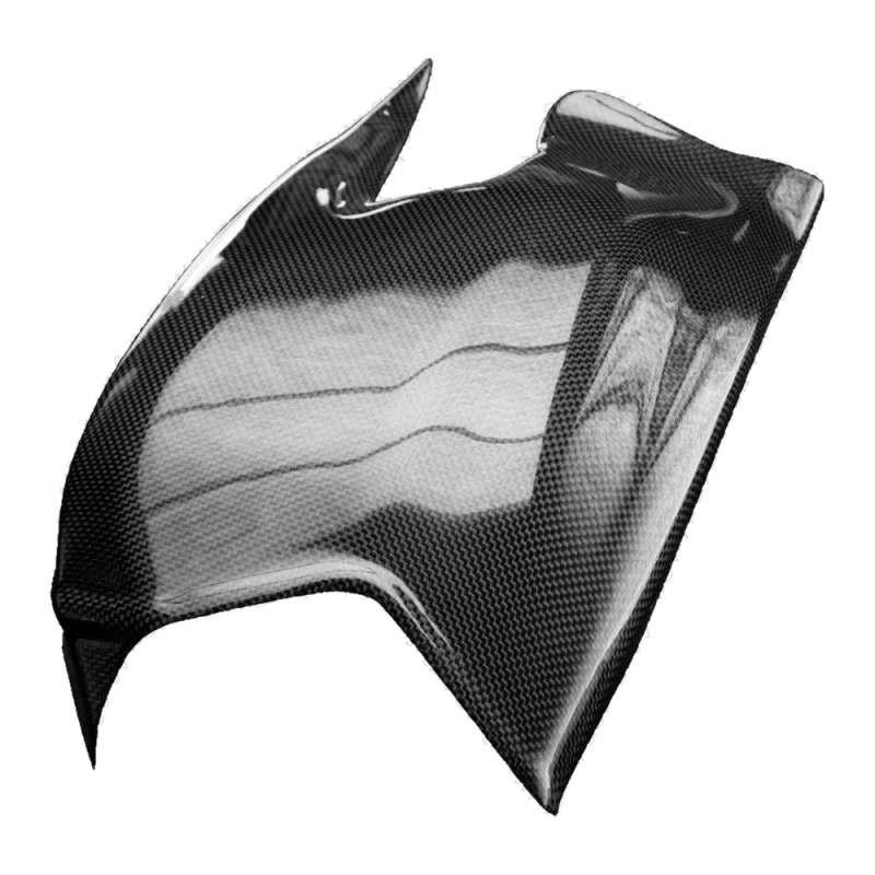 F&F Carbon Schwingenverkleidung, Carbon/Glasfaser – Ducati Streetfighter 2009–2015