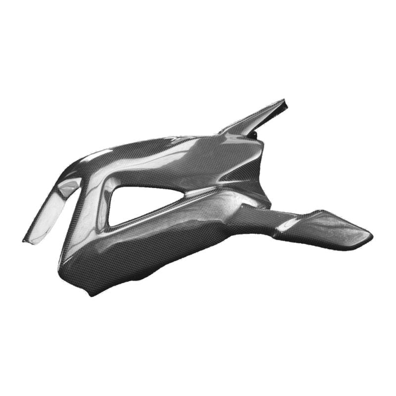 F&F Carbon Schwingenverkleidung, 100 % Carbon – MV Agusta Brutale 800, Brutale 800RR u. a.