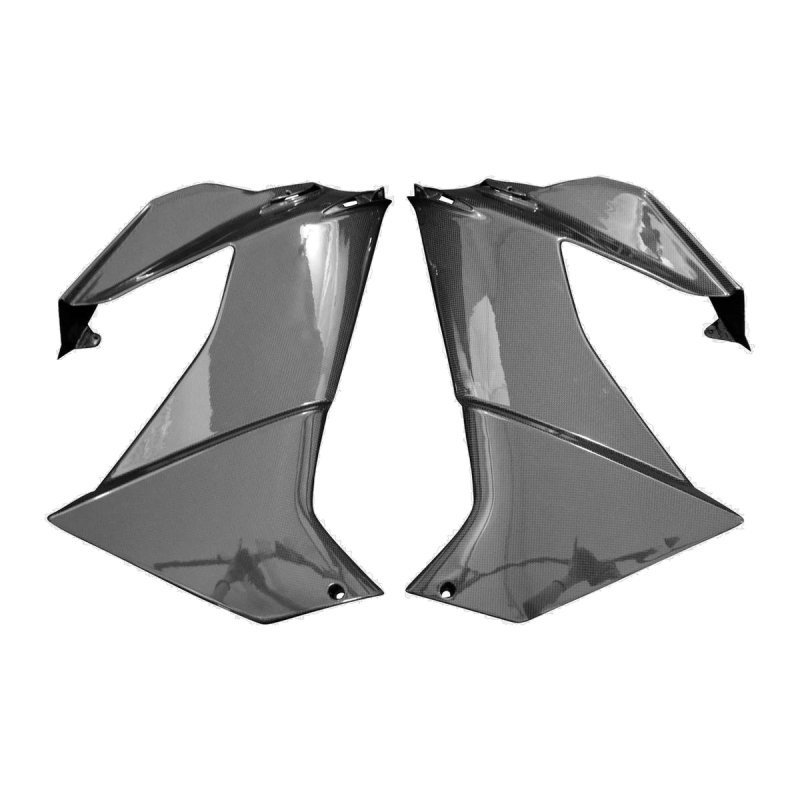 F&F Carbon Seitenverkleidung, 100 % Carbon – Aprilia RS 660 ab 2025