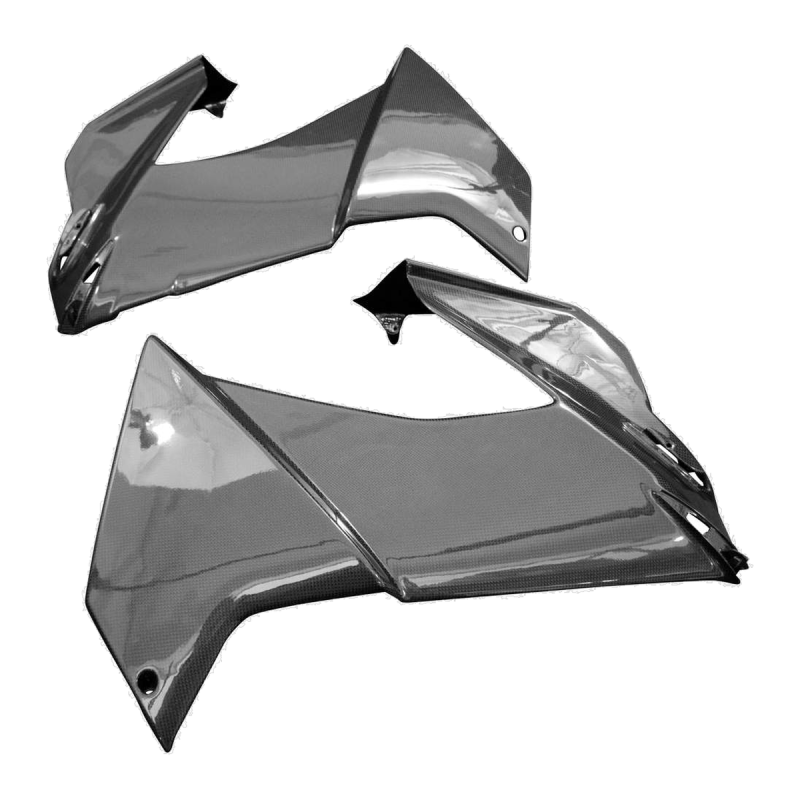F&F Carbon Seitenverkleidung, 100 % Carbon – Aprilia RS 660 ab 2025