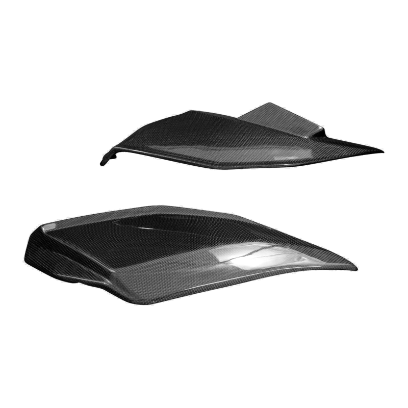 F&F Carbon Seitenverkleidung, Carbon/Glasfaser – Aprilia Tuono V4 ab 2025, RSV4 ab 2025