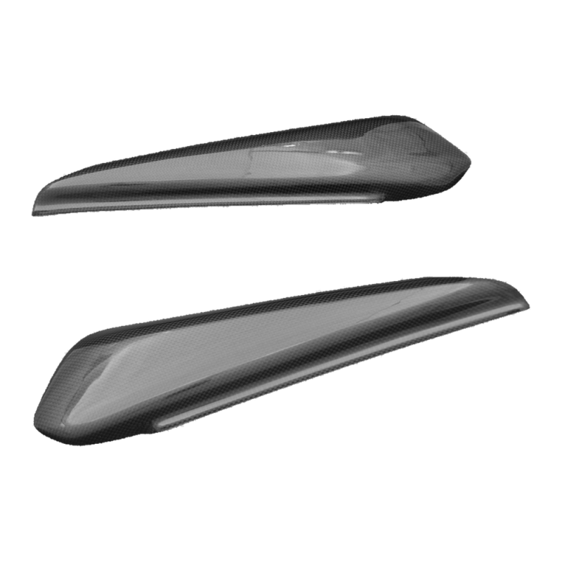 Fianchetto laterale F&F Carbon, carbonio/fibra di vetro – Ducati Monster S4R, Monster S2R ecc.