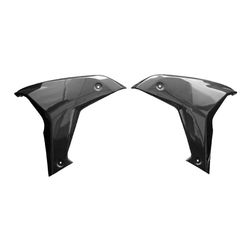 F&F Carbon Seitenverkleidung, Carbon/Glasfaser – Ducati Multistrada V4 ab 2021