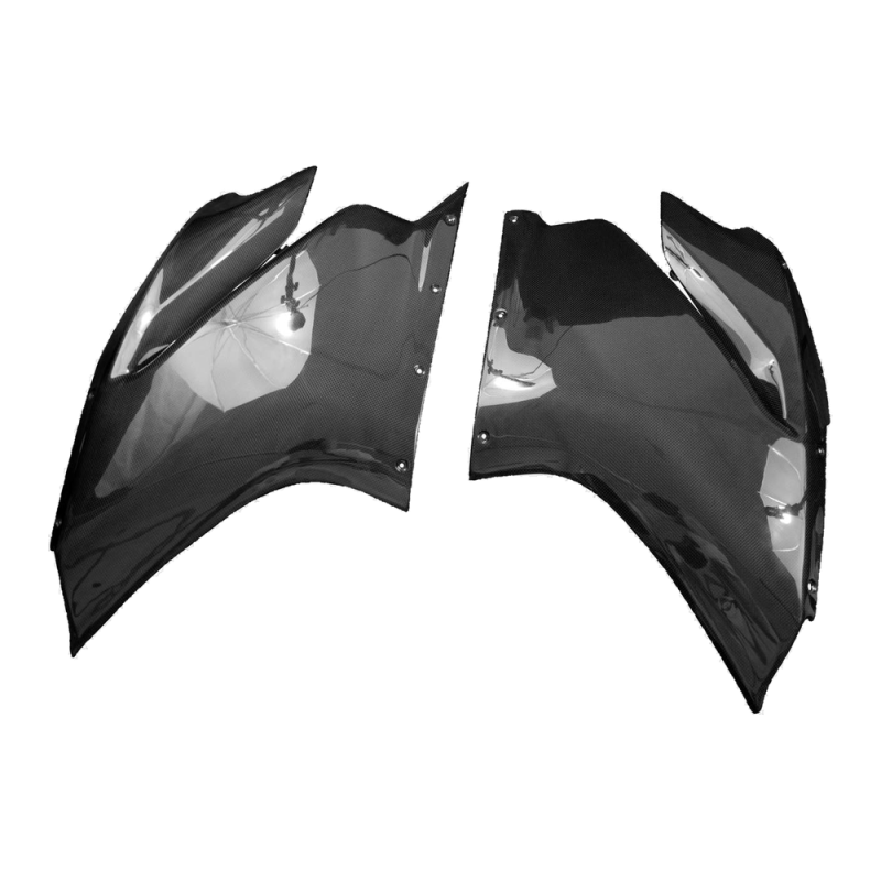 F&F Carbon Seitenverkleidung, Carbon/Glasfaser – Ducati Panigale 959, Panigale 1299