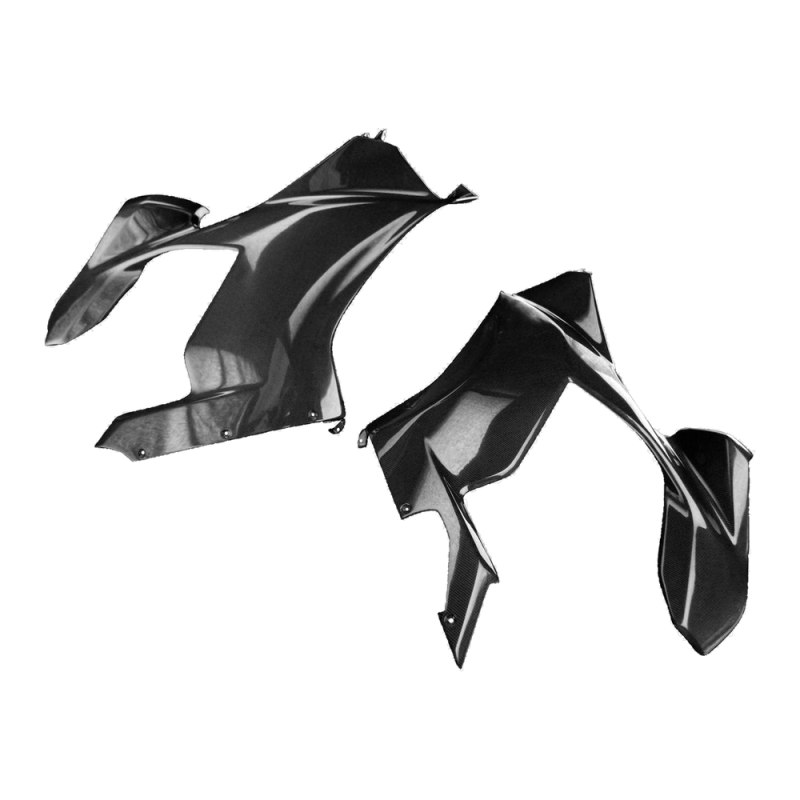 F&F Carbon Seitenverkleidung, 100 % Carbon – Ducati Panigale V4, Panigale V4S/V4R 2018–2019