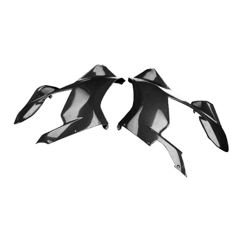 F&F Carbon Seitenverkleidung, 100 % Carbon – Ducati Panigale V4, Panigale V4S/V4R 2018–2019