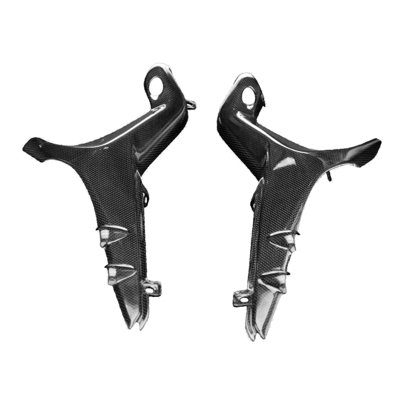 F&F Carbon Seitenverkleidung unter Sitz, 100 % Carbon – Ducati Streetfighter V4 ab 2020
