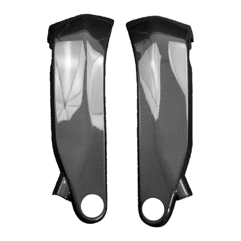 F&F Carbon Seitenverkleidung unter Tank, 100 % Carbon – Ducati Panigale V4R ab 2022