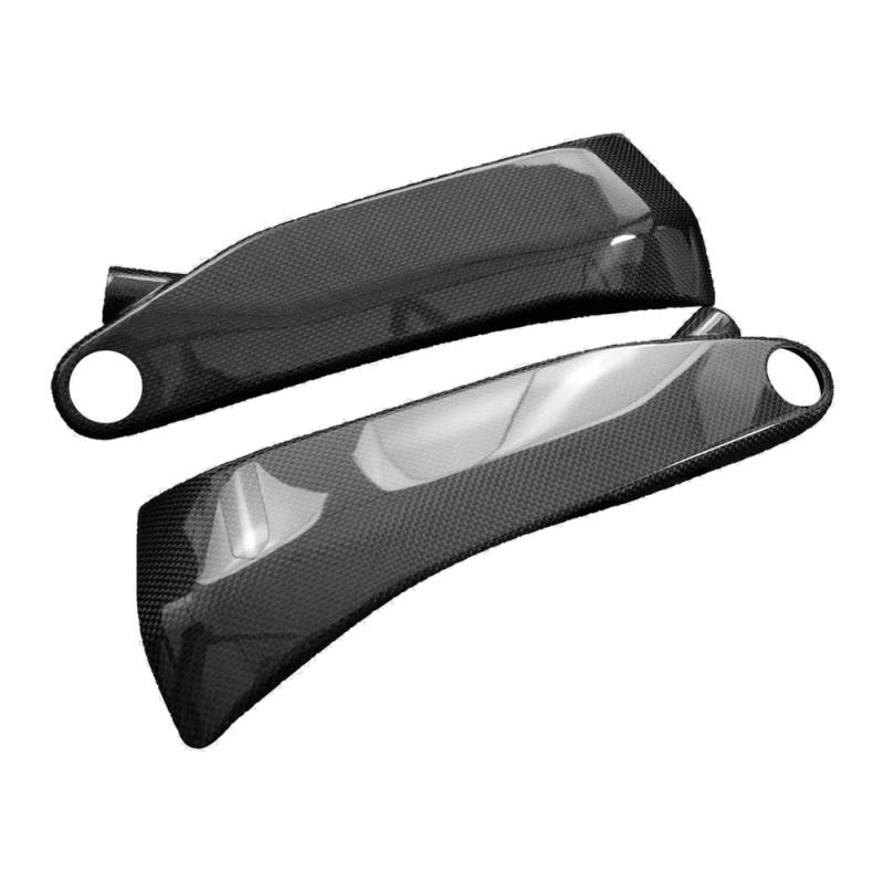 F&F Carbon Seitenverkleidung unter Tank, 100 % Carbon – Ducati Panigale V4R ab 2022