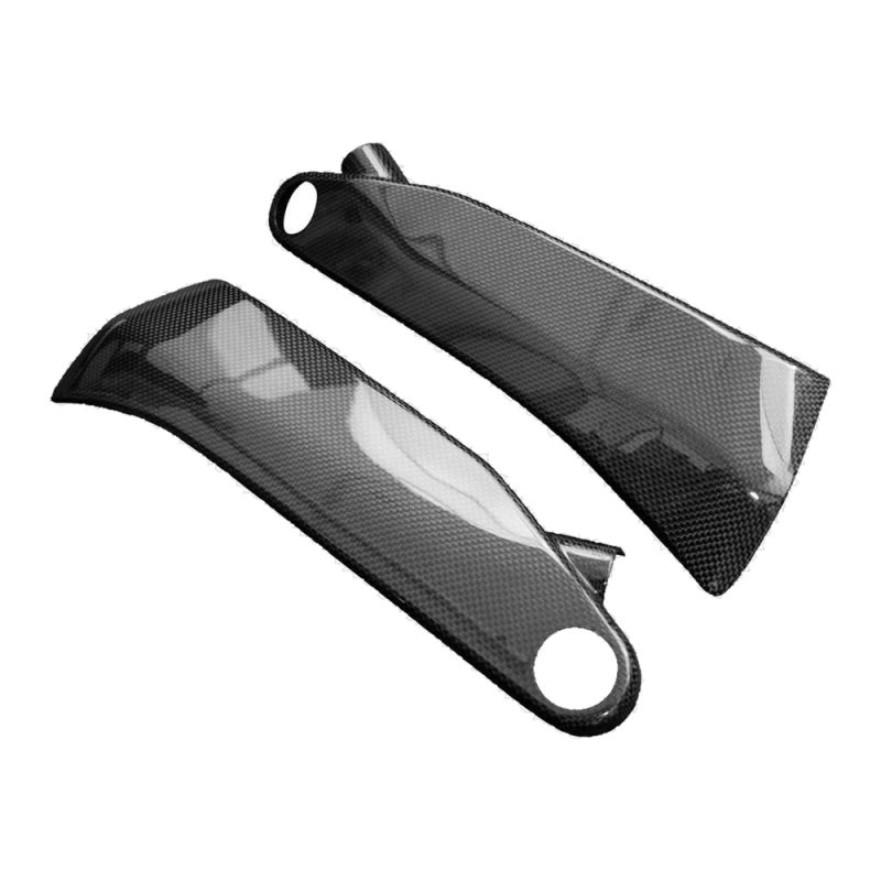 F&F Carbon Seitenverkleidung unter Tank, 100 % Carbon – Ducati Panigale V4R ab 2022