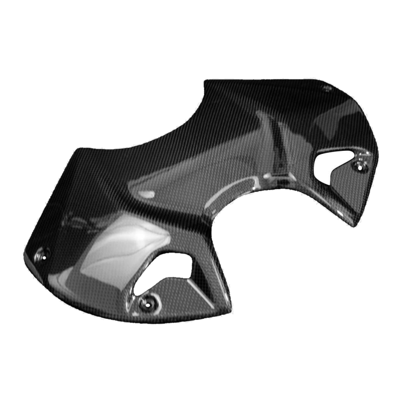 F&F Carbon Tankverkleidung, 100 % Carbon – Ducati Streetfighter V4 2020–2022, Streetfighter V4S 2020–2022