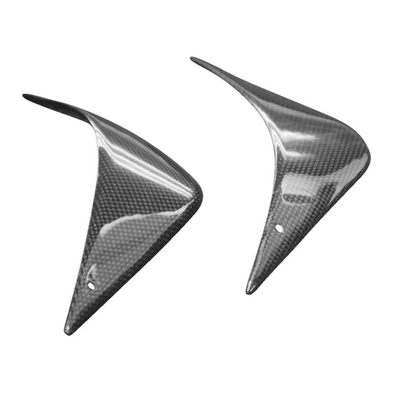 F&F Carbon Tankverkleidung, 100 % Carbon – MV Agusta F4 750, F4 1000 u. a.