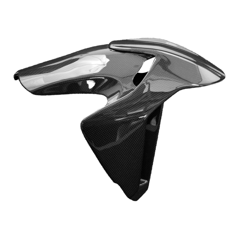 F&F Carbon Front fender (alternative design), 100 % carbon – Ducati Panigale V4/V4S