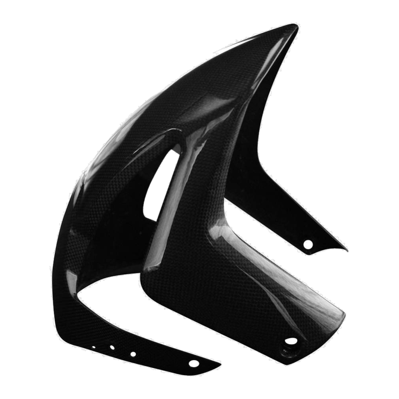 F&F Carbon Vorderes Schutzblech, Carbon/Glasfaser – Aprilia RSV4 ab 2021, Tuono V4 ab 2021