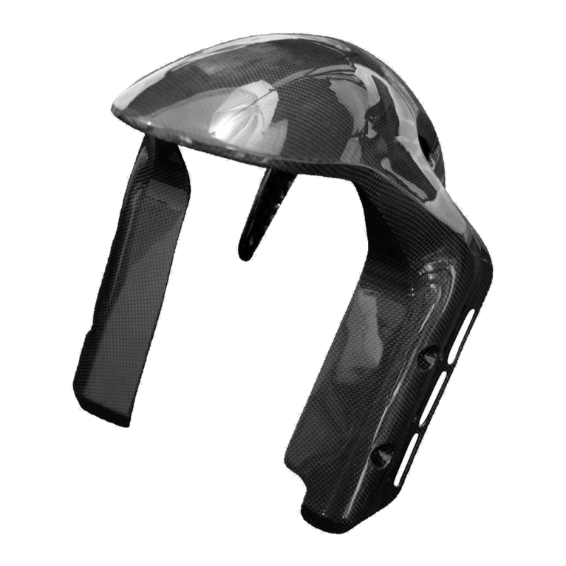F&F Carbon Vorderes Schutzblech, 100 % Carbon – Ducati DesertX ab 2026