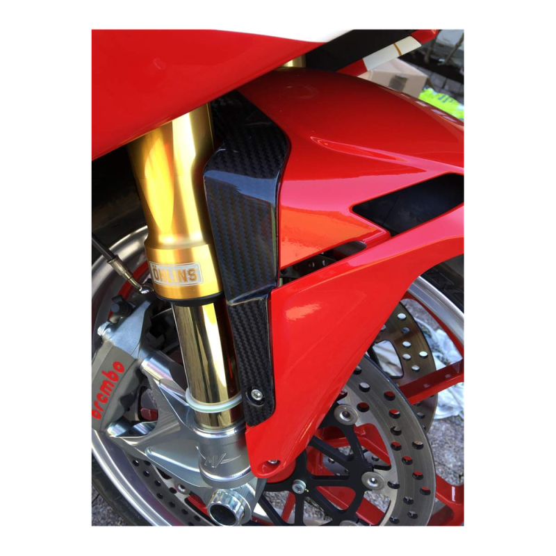 F&F Carbon Vorderes Schutzblech-Spoiler, 100 % Carbon – MV Agusta F4 1000 ab 2010, Brutale 1090/990/920