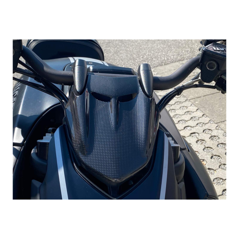 F&F Carbon Windschutz, Carbon/Glasfaser – Ducati Diavel 2014–2018