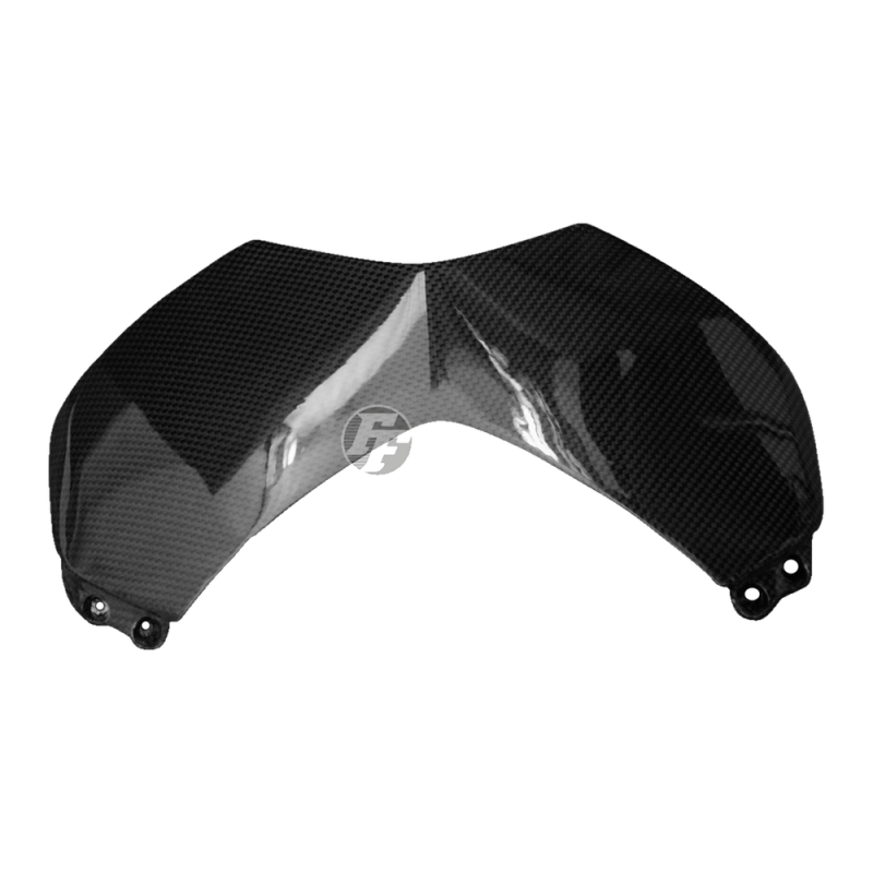 F&F Carbon Windschutz, 100 % Carbon – MV Agusta Rivale 800 2013