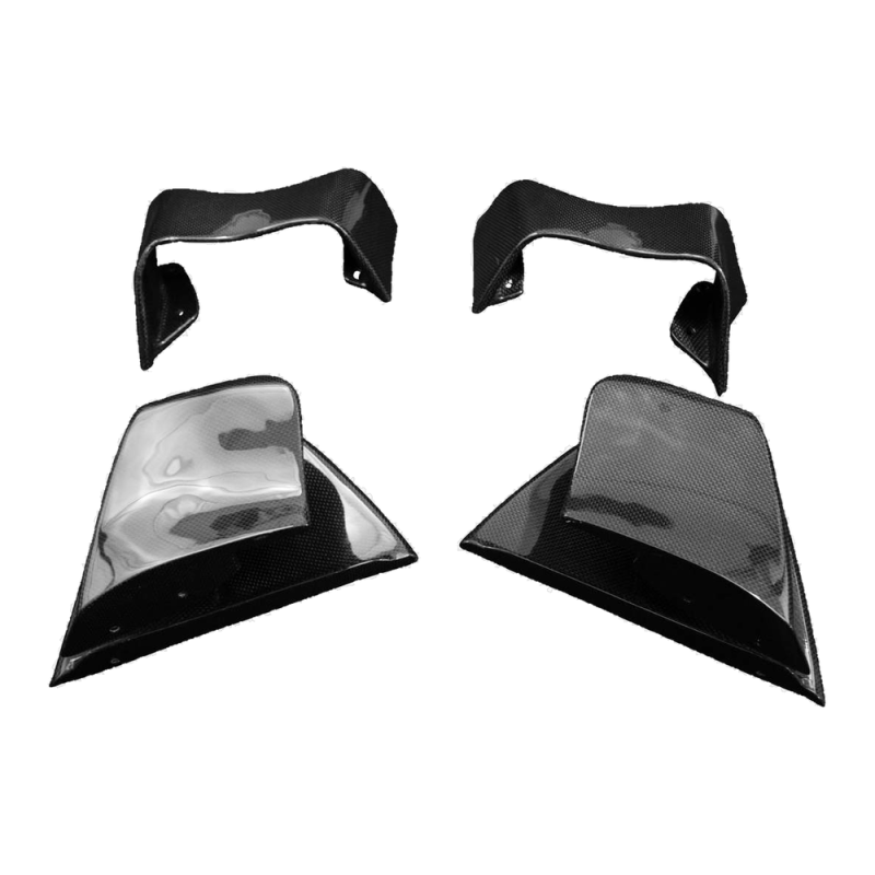 F&F Carbon Winglets, Carbon/Glasfaser – Ducati Panigale V4/V4S