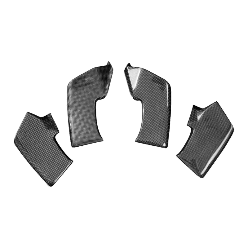 F&F Carbon Winglets, 100 % Carbon – Ducati Streetfighter V4