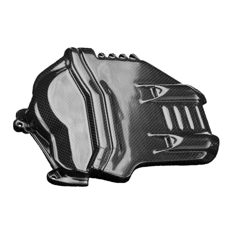 F&F Carbon Zylinderkopfabdeckung links, 100 % Carbon – Ducati Streetfighter V4 ab 2020