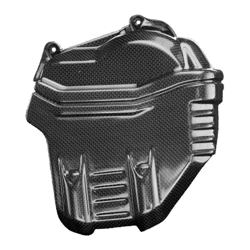 F&F Carbon Zylinderkopfabdeckung links, 100 % Carbon – Ducati Streetfighter V4 ab 2020