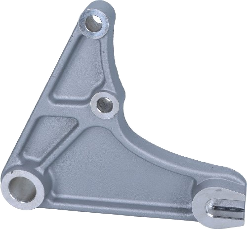 Supporto pinza freno posteriore Moto Guzzi – California 1100 EV, Jackal – originale