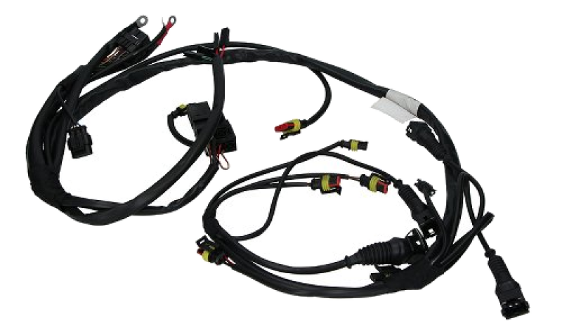 Cablaggio impianto di iniezione Moto Guzzi – V11 Café Sport, Ballabio, Coppa Italia, Bellagio