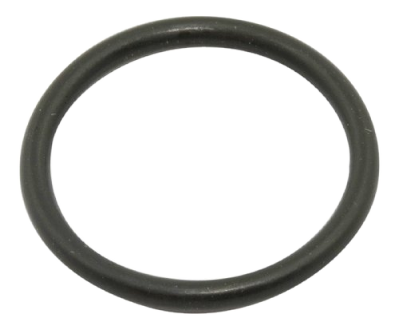 Moto Guzzi O-Ring Tankanzeige – V10 Centauro, 1100 Quota ES, Original