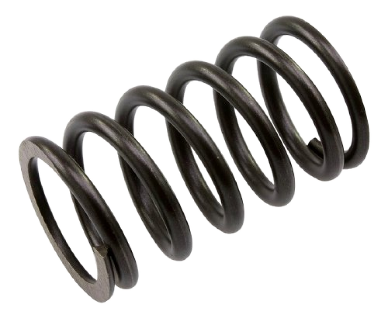 Molla valvola Moto Guzzi, 55,01 mm – Le Mans 1000, 1000 S, Daytona, 1100 Sport