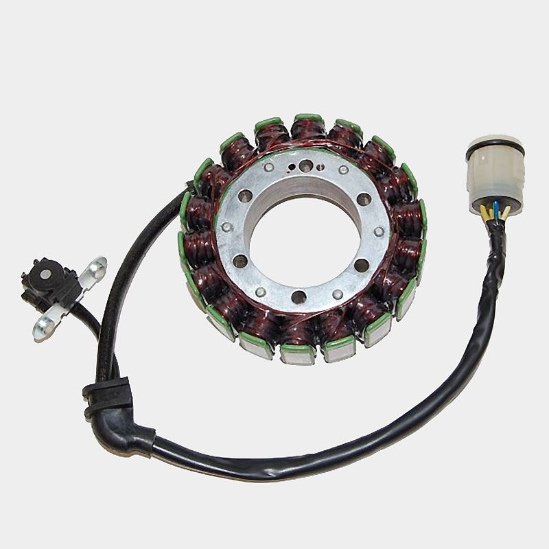 Lichtmaschinen Stator - Typ ESG922