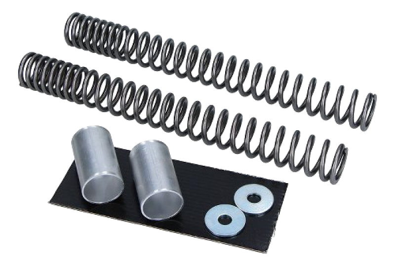 Wirth Progressive Fork Spring Set with ABE – Moto Guzzi V10 Centauro