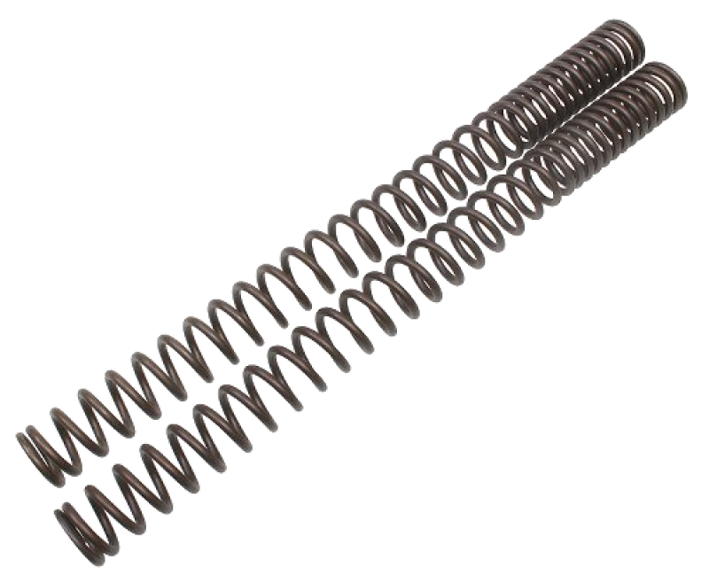 Wirth Progressive Fork Spring Set with ABE – Aprilia 1000 Caponord ETV