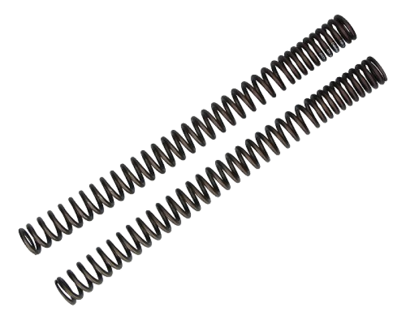 Wirth Progressive Fork Spring Set with ABE – Moto Guzzi V11 Sport, V11 Le Mans, Ducati 900 SS