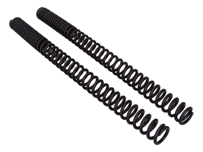 Wirth Progressive Fork Spring Set with ABE – Moto Guzzi Daytona, 1100 Sport, V11 Sport CAT