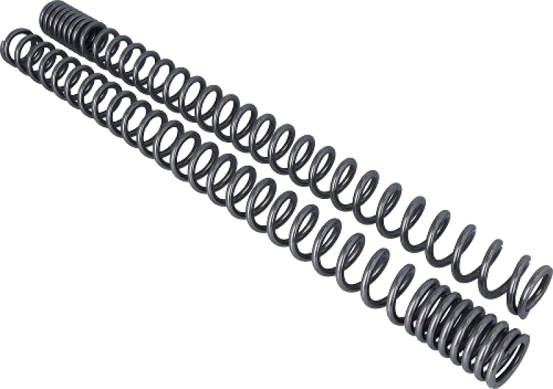 Wirth Progressive Fork Spring Set with ABE – Moto Guzzi California 1100 EV