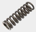 Clutch Spring - Ducati