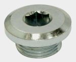 Oil Plug - Gear, Cylinder Head