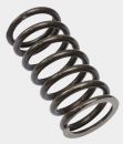 Valve Spring inside - Moto Guzzi (850, 1000, 1100ccm)
