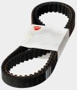 Timing Belt - Ducati 696, 796 (1 Pair)