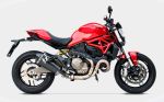 ZARD Exhaust Slip-On Silencer Racing - Ducati Monster 821