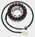 Generator Stator - Type ESG701